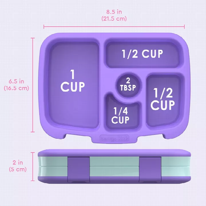 LiswindH kids bento box with silicone lock lunch box